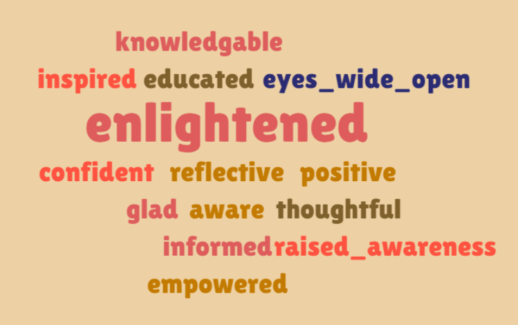 Word cloud including the words knowledgeable, inspired, educated, eyes wide open, enlightened, confident, reflective, positive, glad, aware, thoughtful, informed, raised awareness, empowered