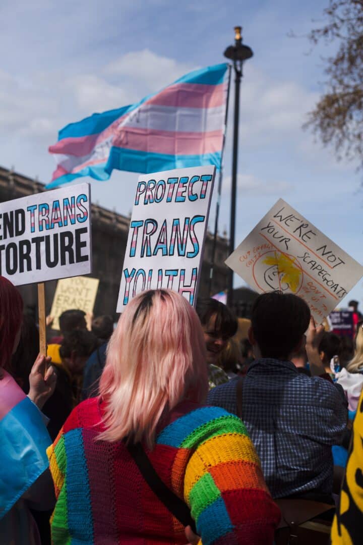 At a protest, a sign held aloft says "protect trans youth". It's coloured with the blue, pink and white stripes of the trans flag. Behind the sign is a large trans flag, blowing in the breeze.